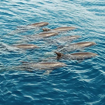 Atauro Dive Resort Beloi Ngoại thất bức ảnh