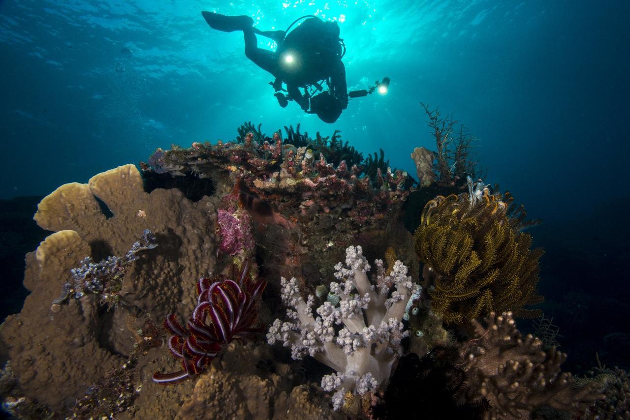 Atauro Dive Resort Beloi Ngoại thất bức ảnh
